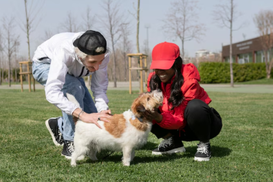 용인 반려견 놀이터