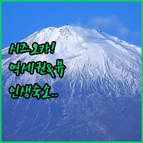 시즈오카 자유여행 숙소 추천 역세권 ..