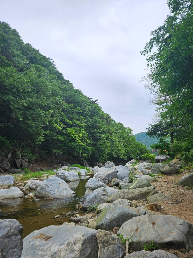 남한산성 계곡 차박지(광지원 매점)
