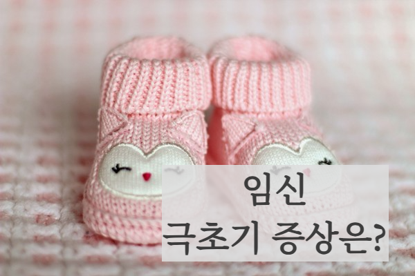 임신초기증상