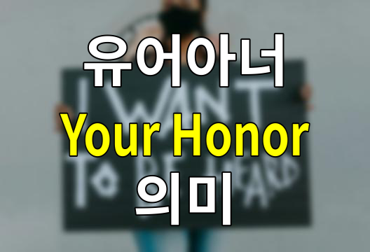 유어아너(Your Honor)의 의미, 법정 드라마를 넘어서