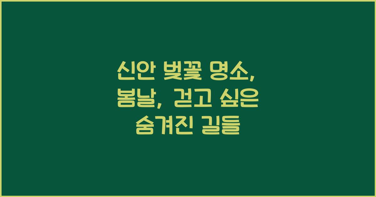 신안 벚꽃 명소