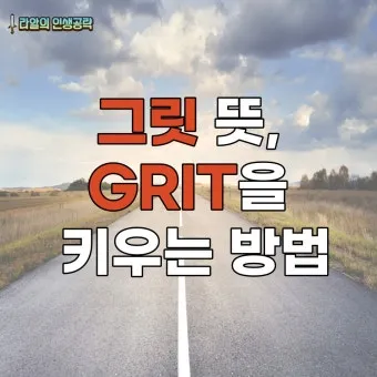 그릿 당신에겐 그릿이 있는가 성공의 요인_4