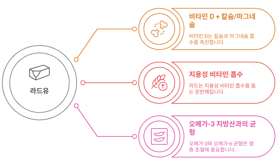라드유 시너지 영양소