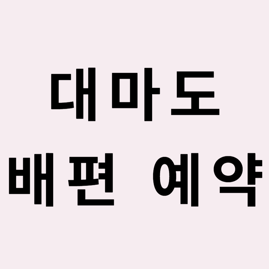 대마도 배편 예약