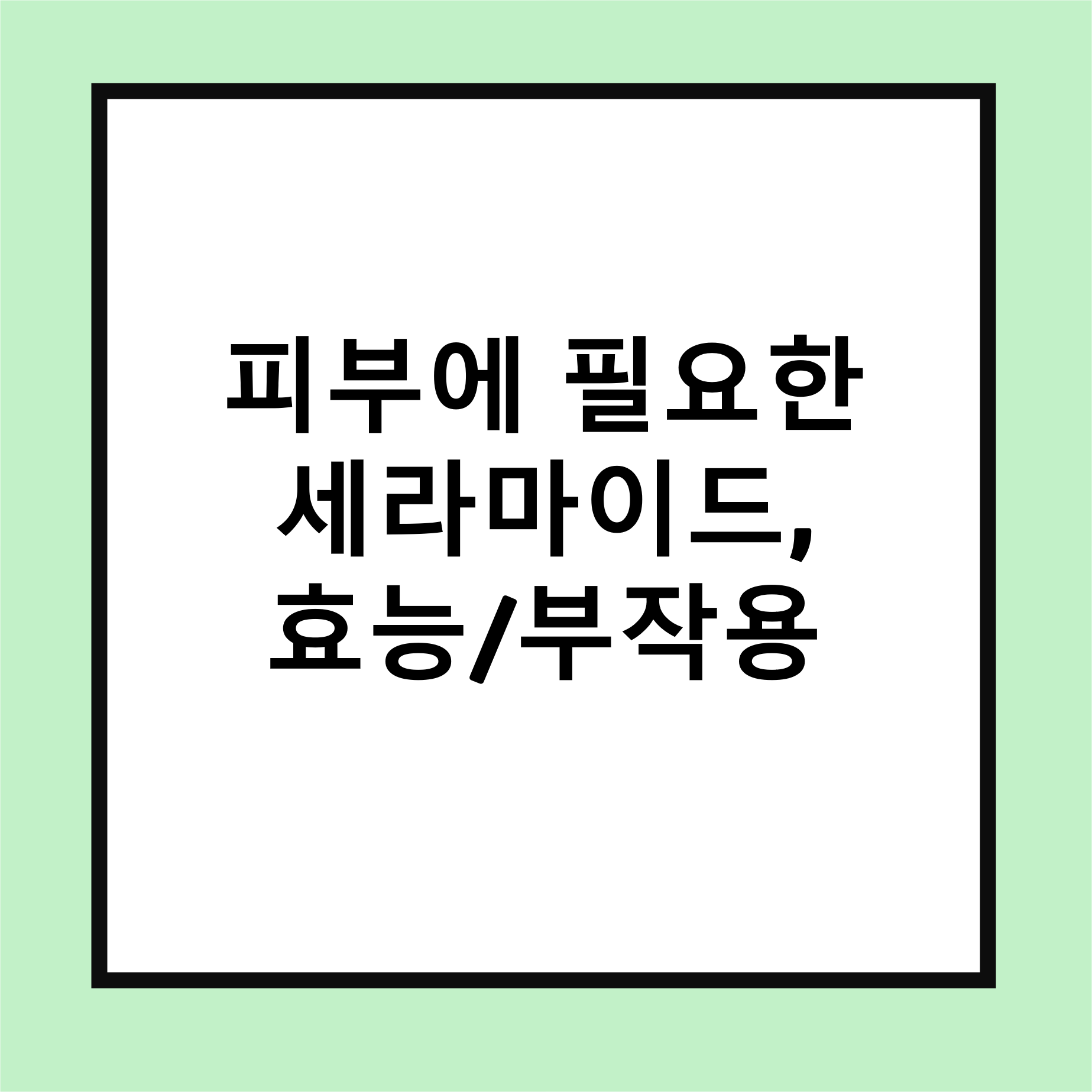 세라마이드 효능