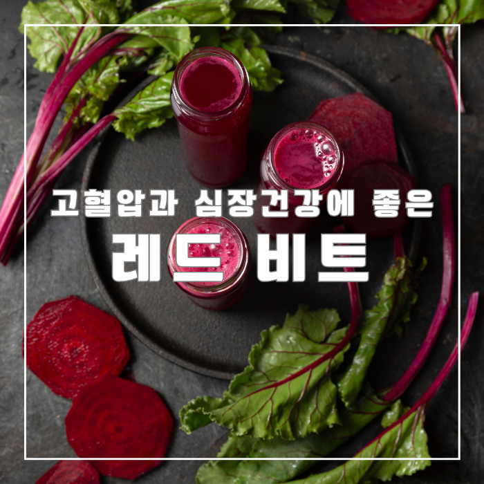 레드비트 주스