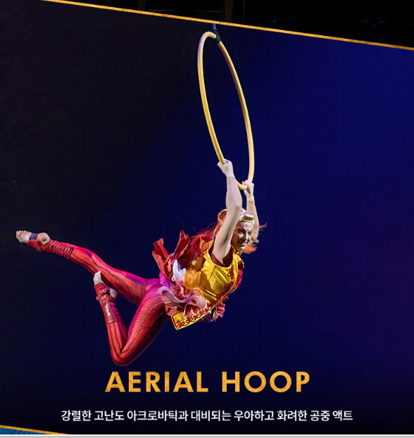 AERIAL-HOOP