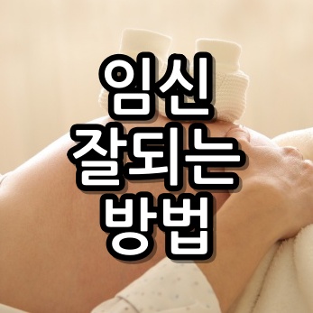 임신 잘되는 방법 10가지 놓치고 있지 않나요