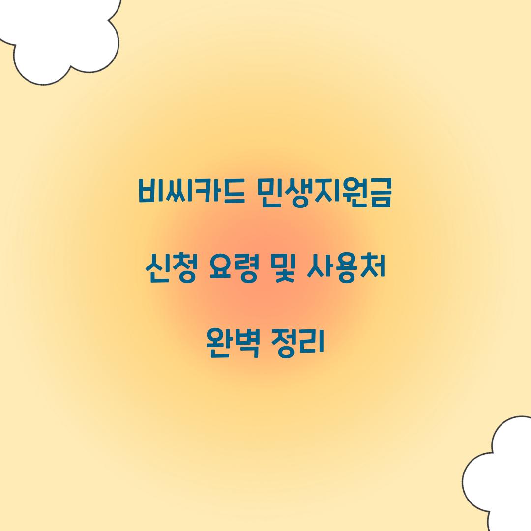 비씨카드 민생지원금
