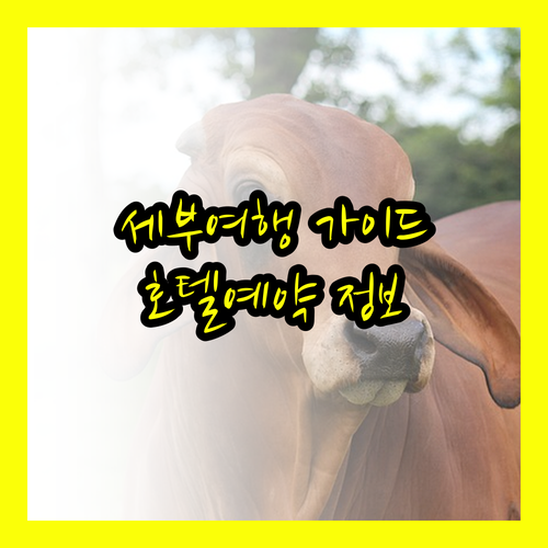 세부 여행 필수 정보 세부 호텔 숙박