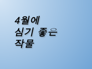 4월에 심기 좋은 작물 총정리｜오이&middot;수박&middot;토마토&middot;옥수수&middot;아스파라거스 재배 팁