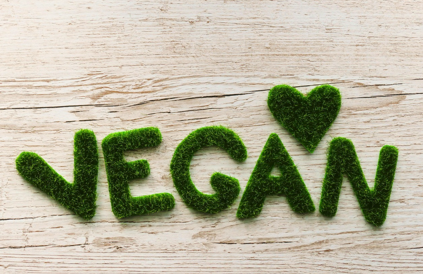 완전 비건에 관한 이미지