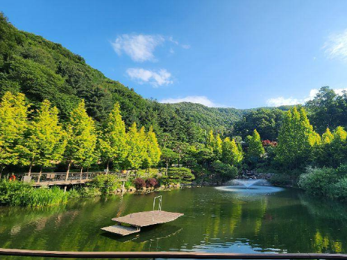 화담숲 모노레일 가격 예약