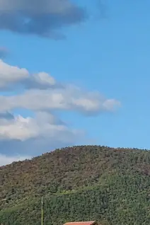 제19회 거제섬꽃축제 2025 – 국화향기 속으로 떠나는 섬의 가을