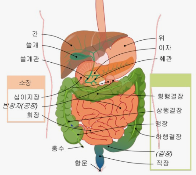 소화기계-명칭