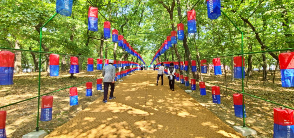 경산자인단오제, 경산시