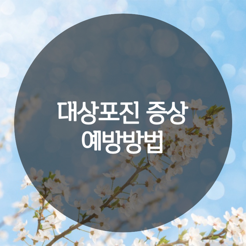 대상포진 증상 예방방법 글자 대표이미지