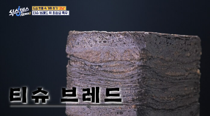 식스센스시티투어2-티슈브레드