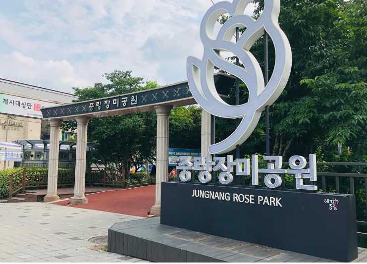 서울 중랑 장미공원