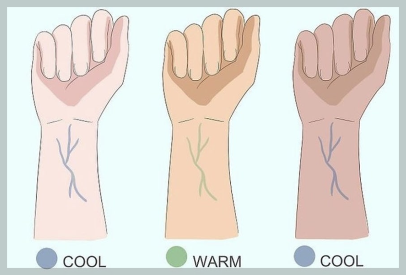 퍼스널컬러 셀프테스트