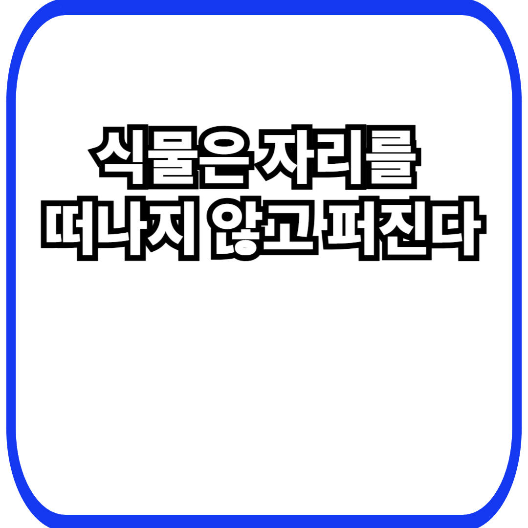 식물 씨앗 분산 전략에서 시작되는 공간 확장, 움직이지 않고 영역을 넓히는 생존 방식