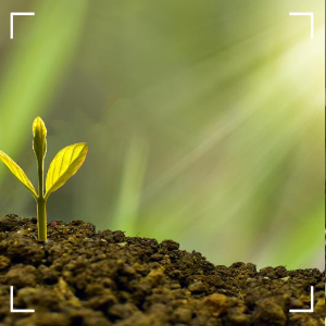 소상공인 정책자금 대환대출 지원대상 조건7