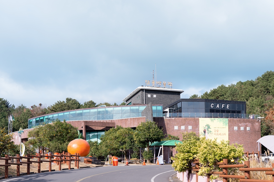 [제주도여행팁] 서귀포여행 추천 명소 - 감귤박물관