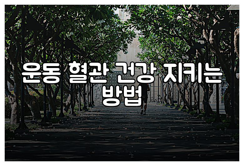 운동 혈관 건강 지키는 방법