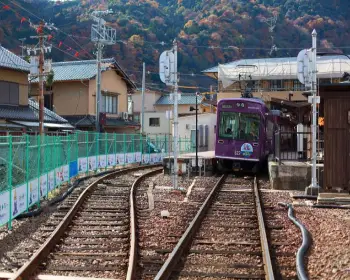 해랑열차 홈페이지&amp;#44; 가격23