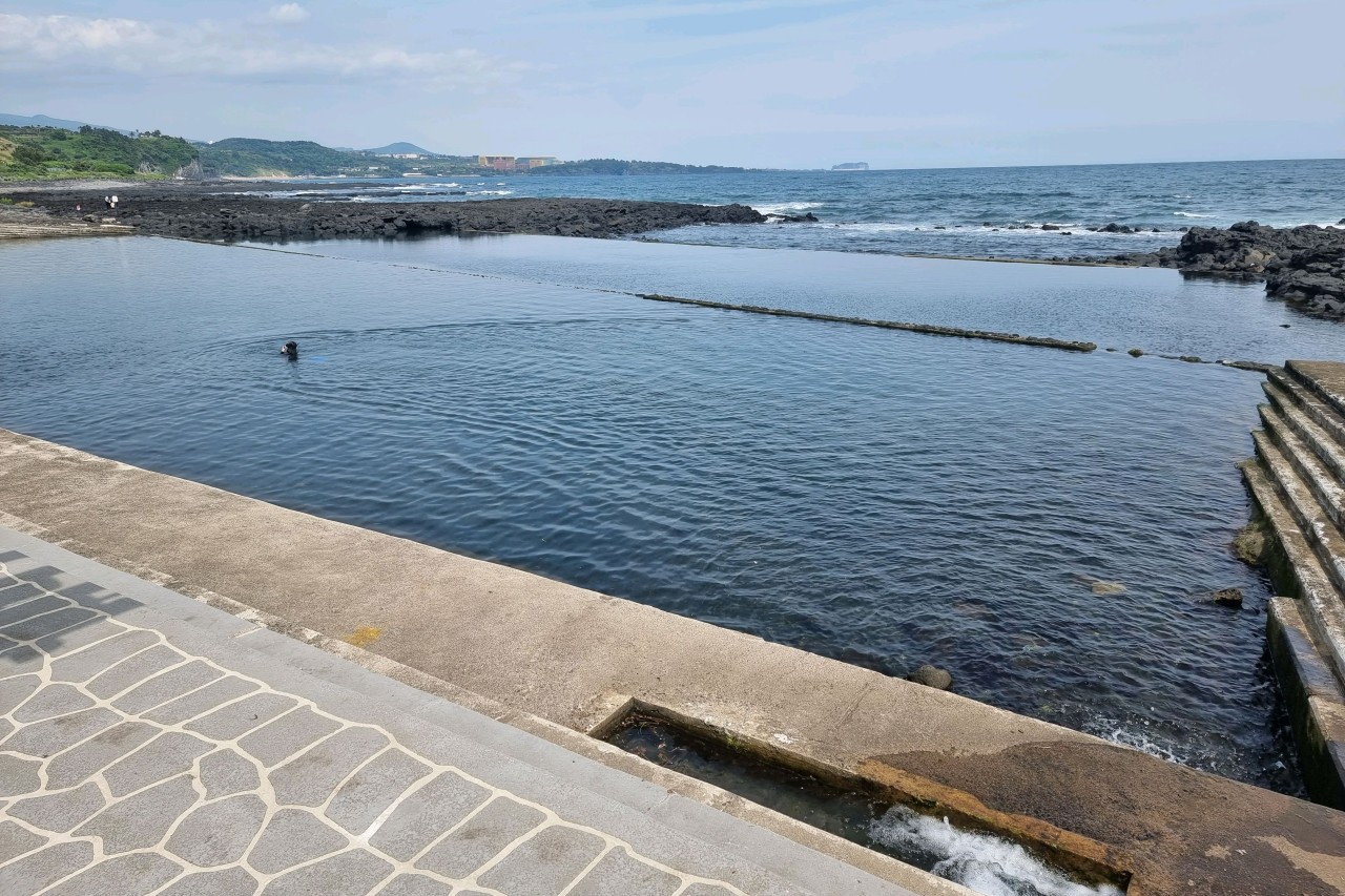 대만 제주항공 얼리버드 특가✈️ 완벽 가이드