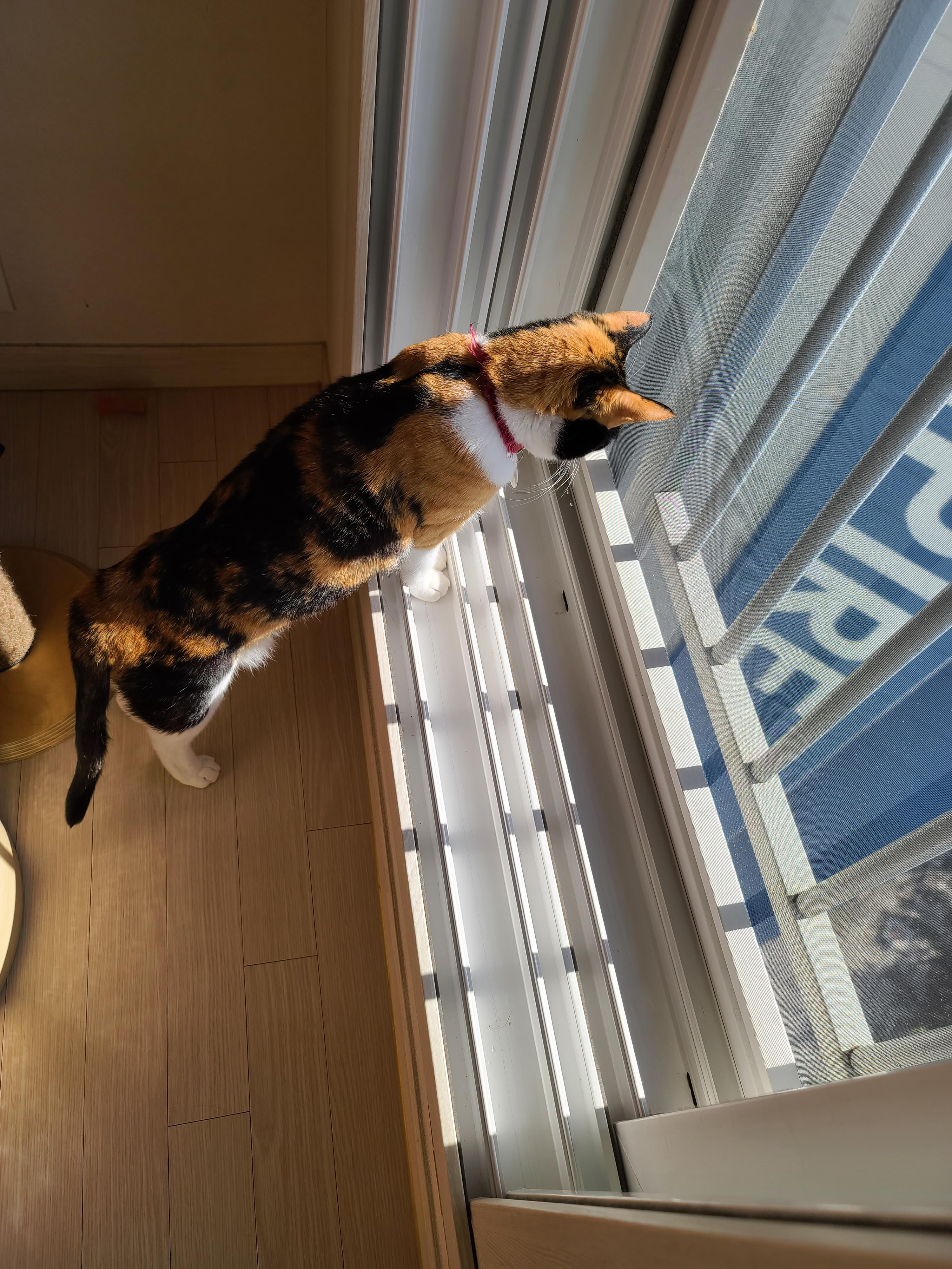 비온 다음날엔 창틀청소지