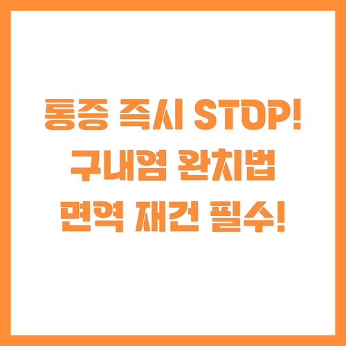 구내염 완벽 가이드 통증 차단과 면역..