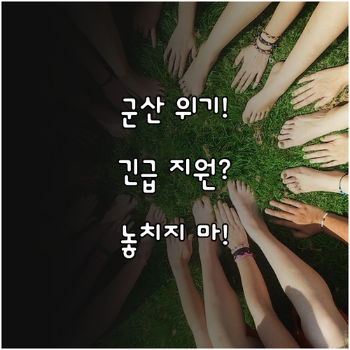 2025 군산시 위기 가구 긴급 지원..