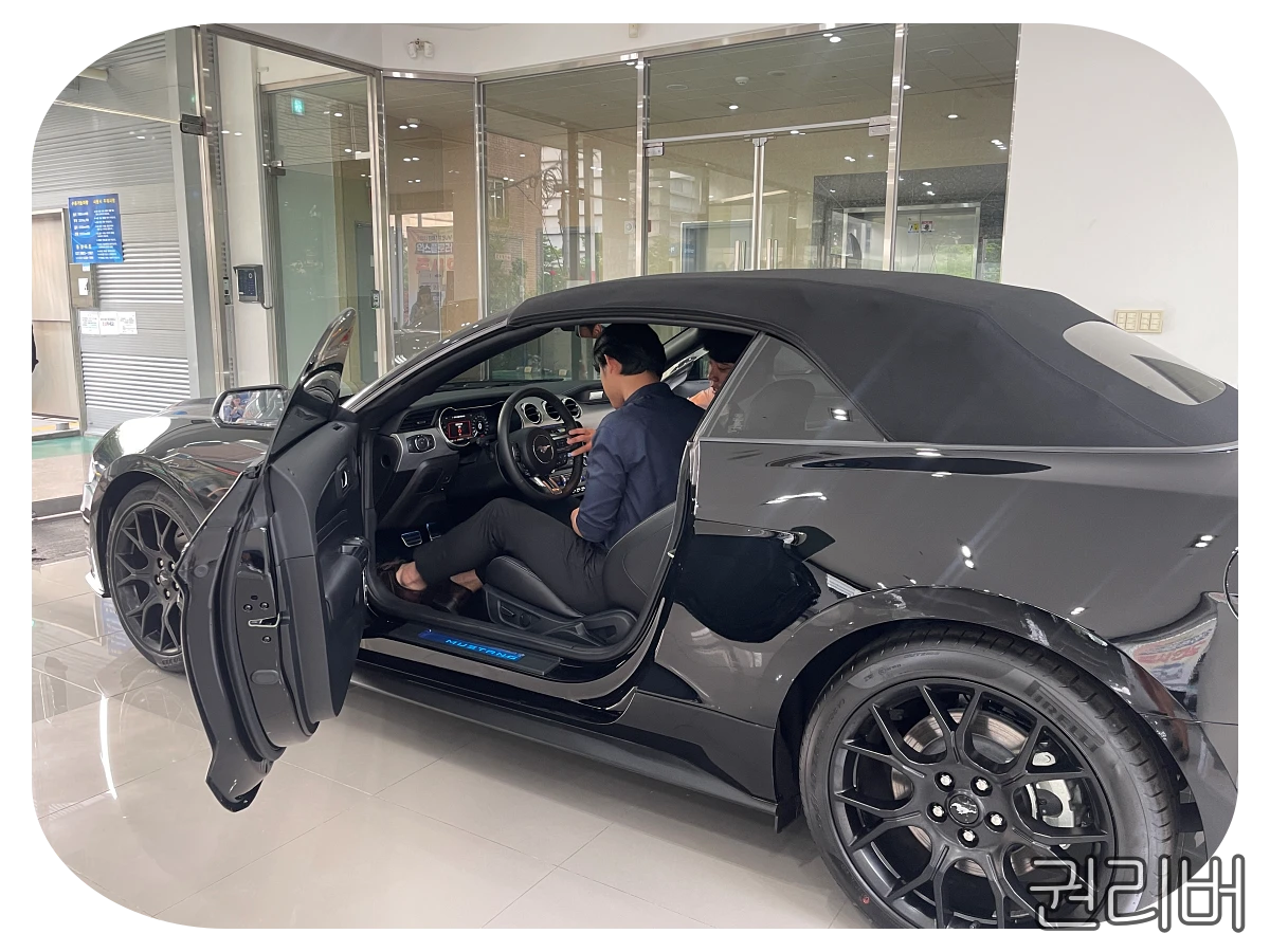 머스탱-인도받는-중