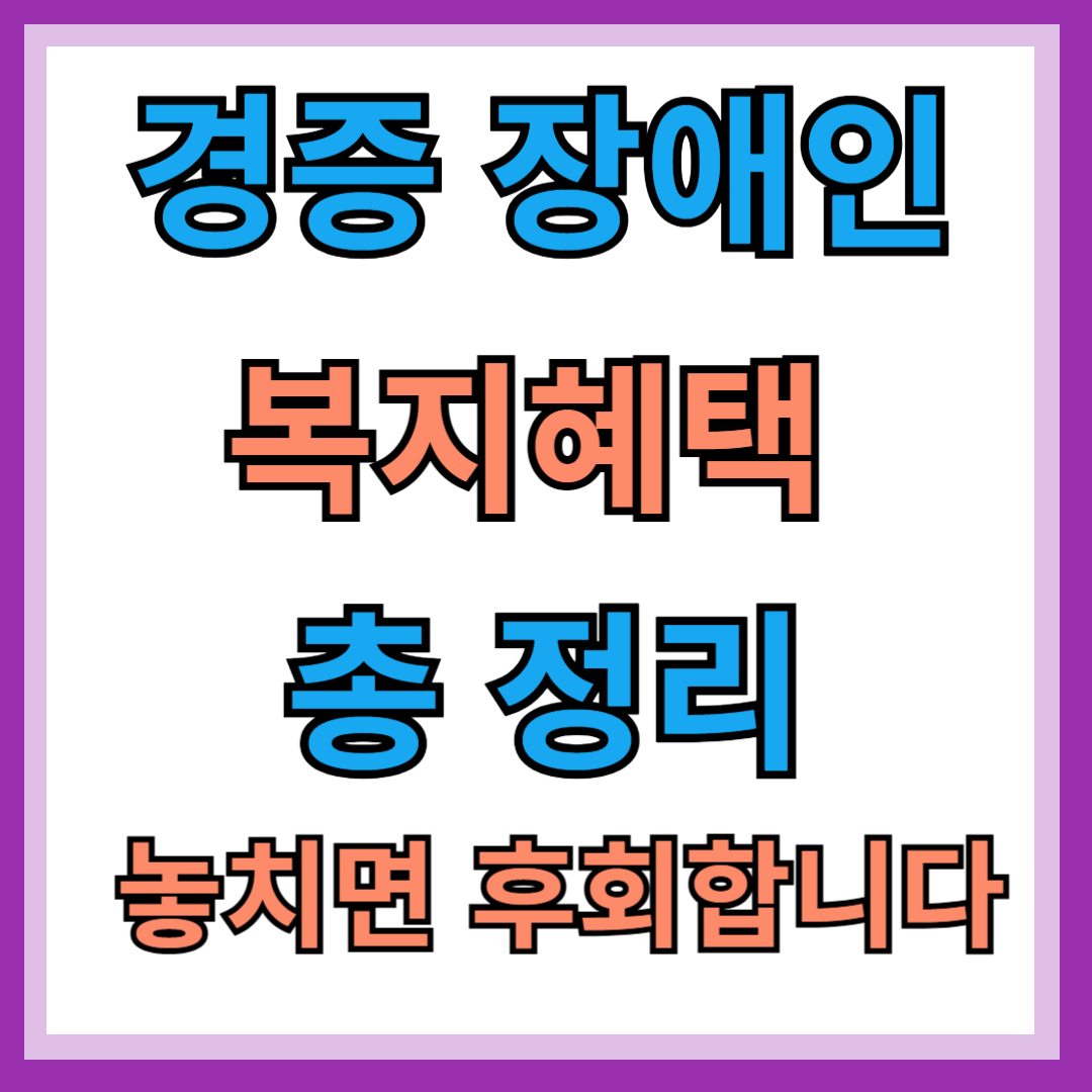 경증 장애인 복지 혜택
