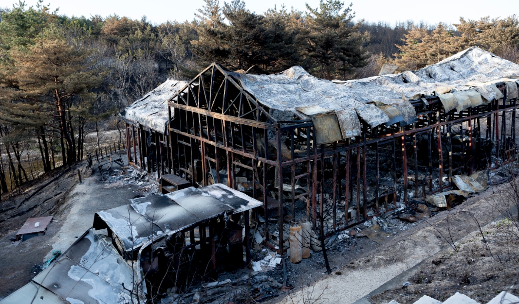 경북 산불 피해 기부 방법