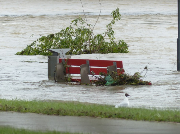 카히스로리 무료 침수 차량 조회 방법
