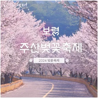 2025년 벚꽃축제 일정 시기 명소_9