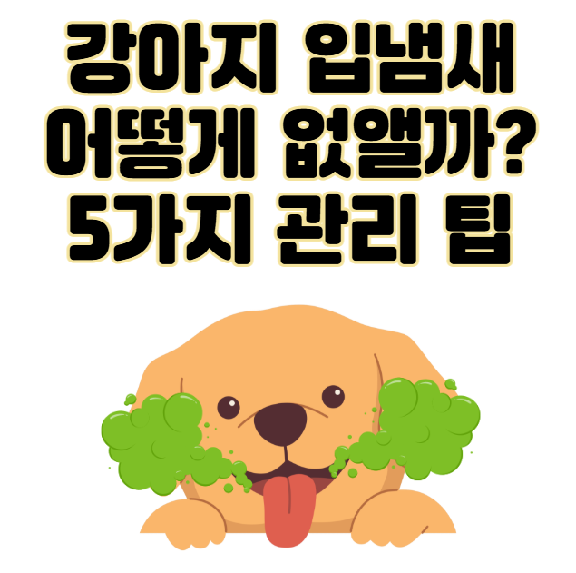 강아지 입냄새, 왜 생기고 어떻게 없앨까? 5가지 관리 팁