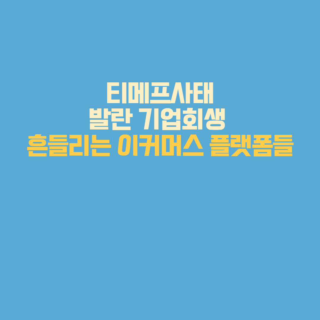 티메프사태·발란 기업회생, 흔들리는 이커머스 플랫폼들