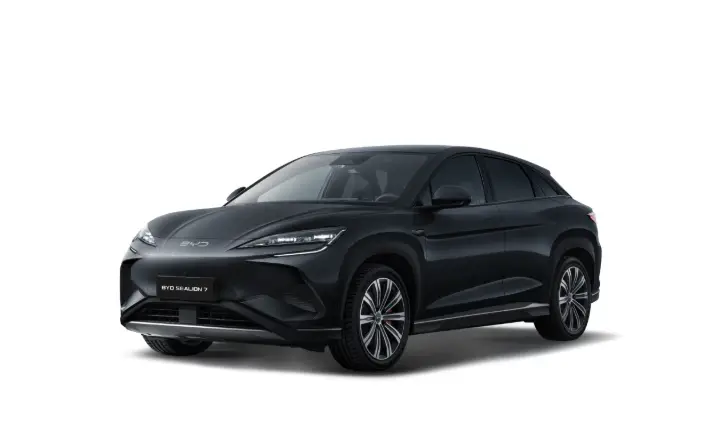 씨라이언-7-블랙