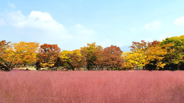 국민내일배움카드 신청자격부터 활용법까지 ❘ 최대 500만 원 지원받는 방법