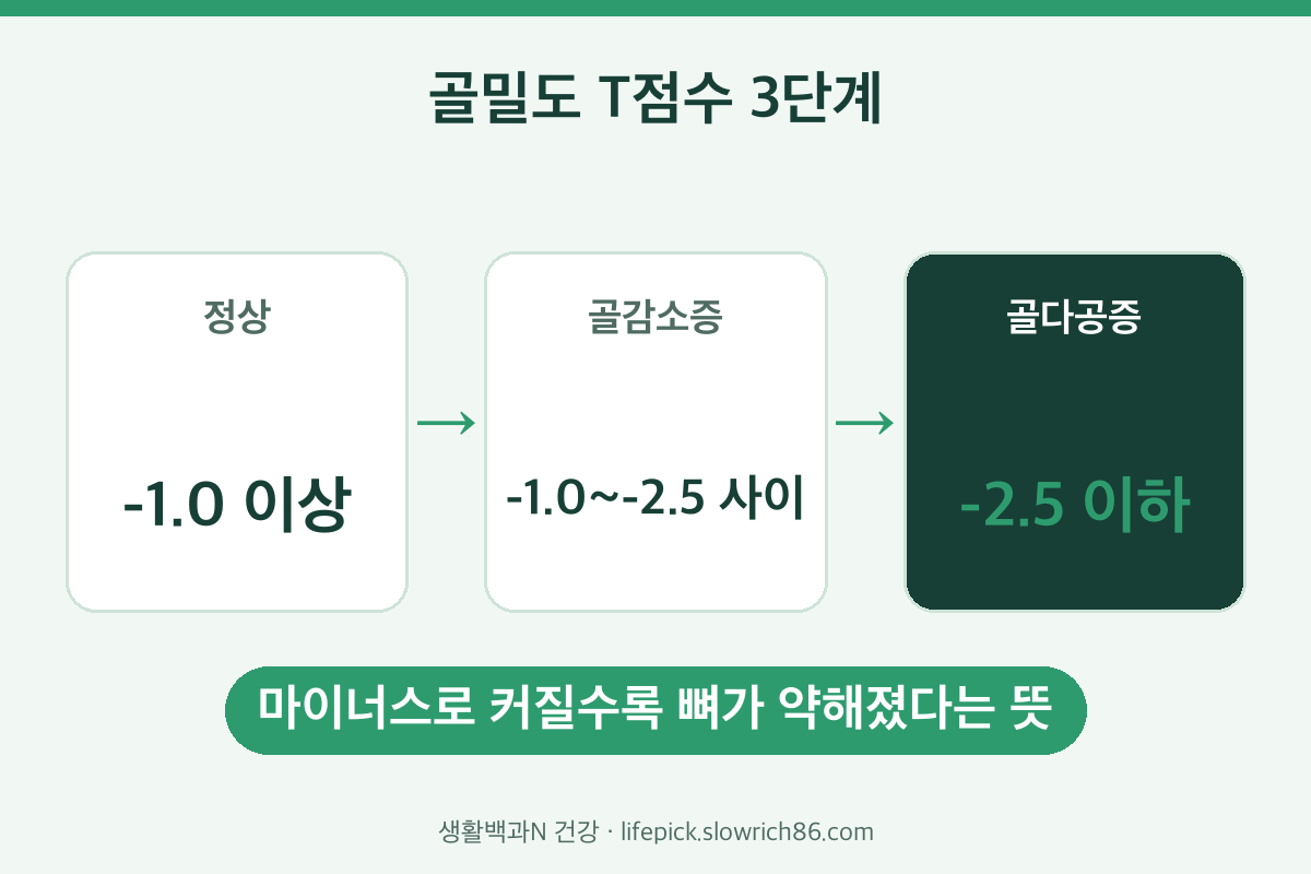 골다공증 수치 T점수 정상 골감소증 골다공증 단계
