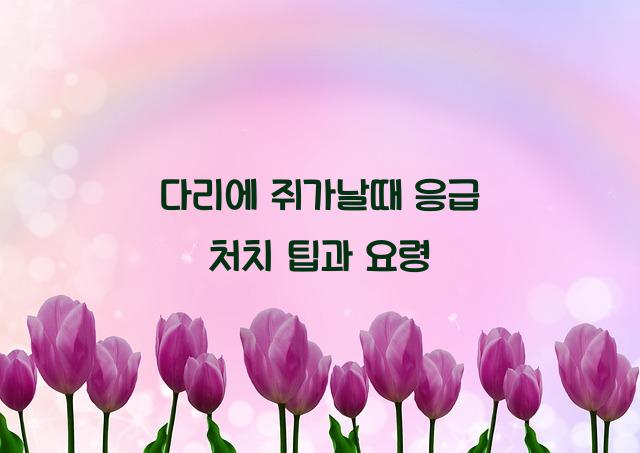 다리에 쥐가날때 응급 처치