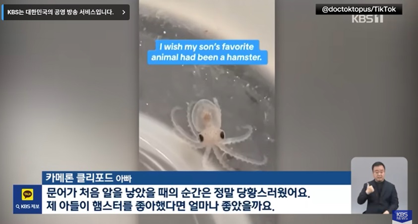 문어 사육의 문제점