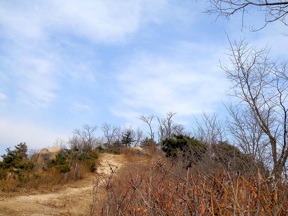 걷고 사랑하며: 홍제동 고은산 걷기