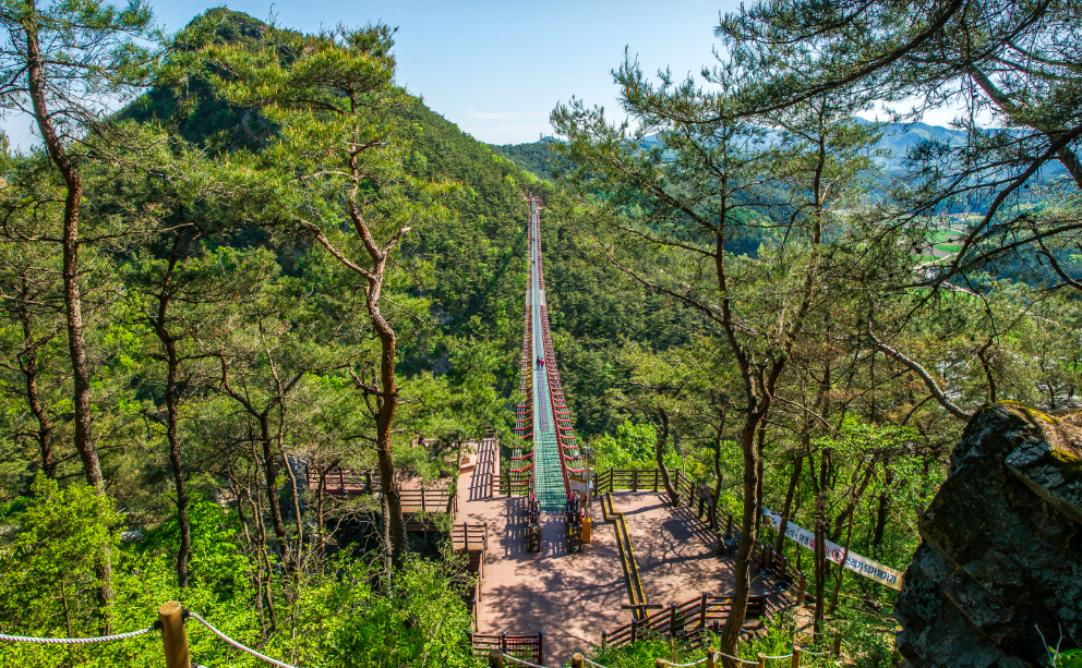 채계산 출렁다리 