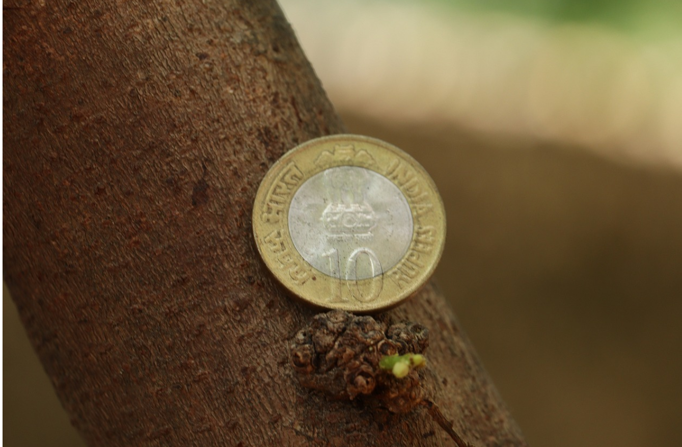 국제 금융 시스템의 이해