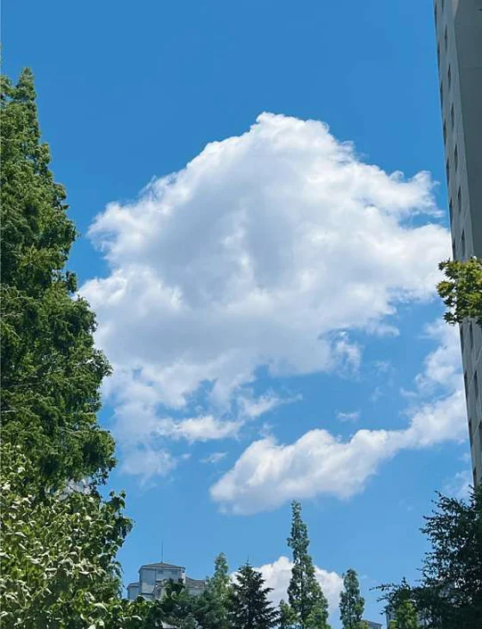 우암산